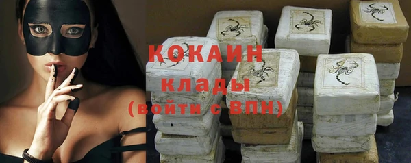 прущие крисы Няндома