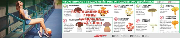 дживик Нязепетровск