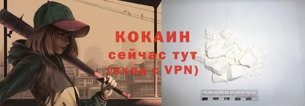 таблы Новодвинск