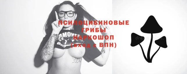 прущие крисы Няндома