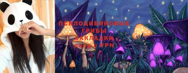 герыч Новокубанск