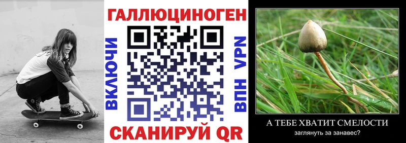 где продают наркотики  Советский  Галлюциногенные грибы Cubensis 